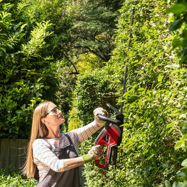 Accuheggenschaar met 2Ah batterij en lader