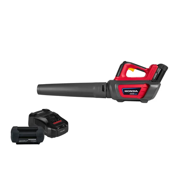 Accubladblazer met 4Ah batterij en lader